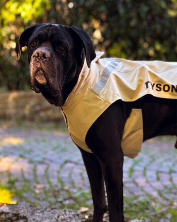 Impermeabile per Cane ENCI